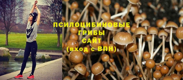 прущая мука Алексеевка